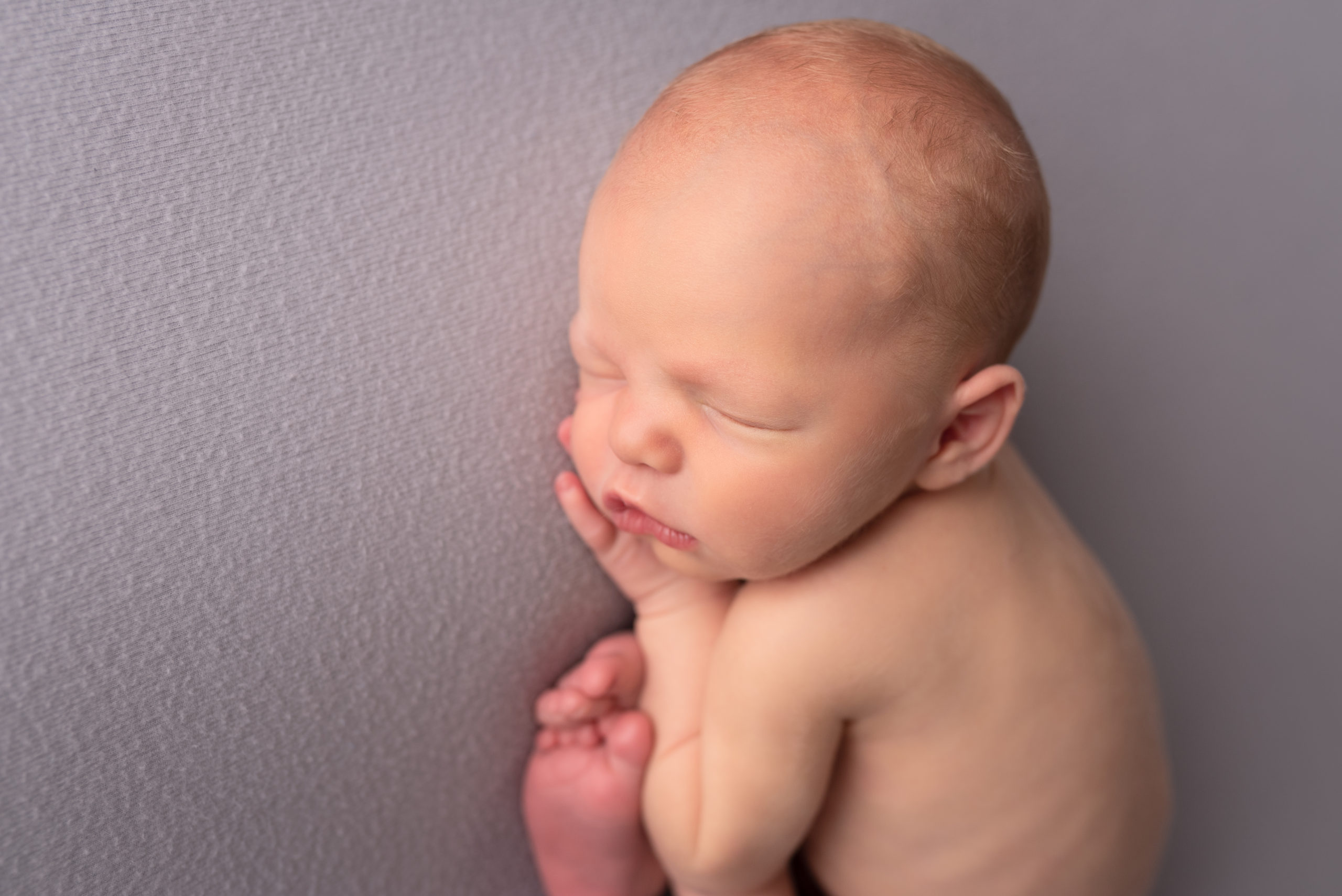 Newborn Boy Gray Taco Pose Naked Sleepy Photographer Prosper Mckinney